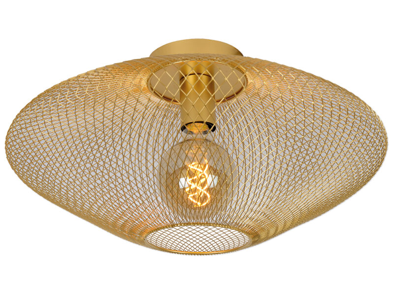 Mesh Ceiling Light