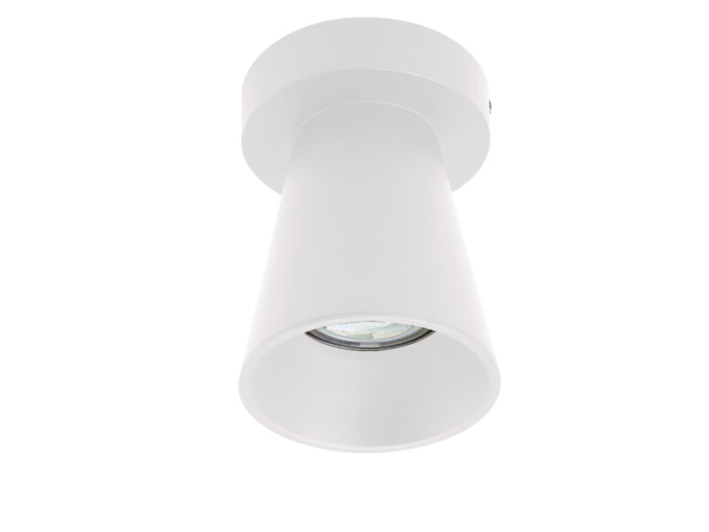 Kiddush Surface Mount Down Lighter