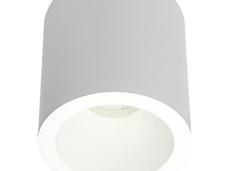 Coastal Surface Mount Round Downlight