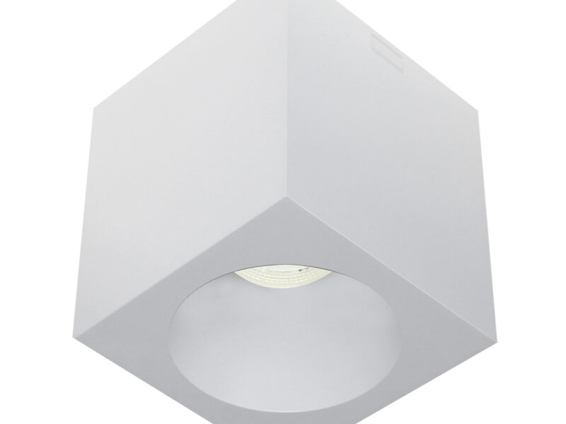 Coastal Surface Mount Square Downlight