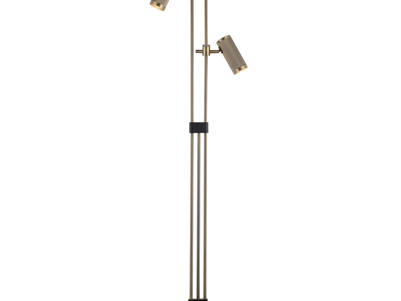 2 Light Adjustable Floor Light