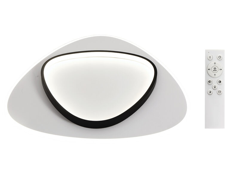 Double Halo Ceiling Light