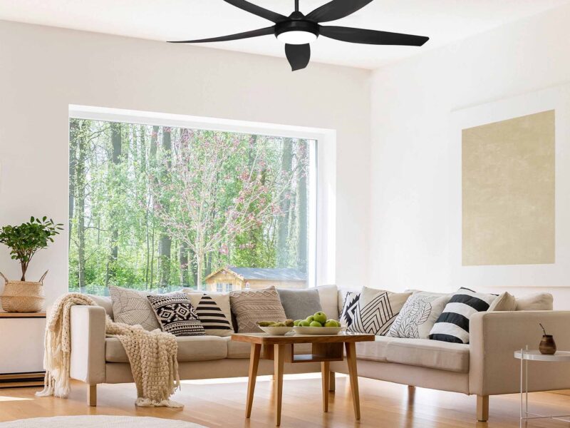 Ceiling Fan 5 Blade